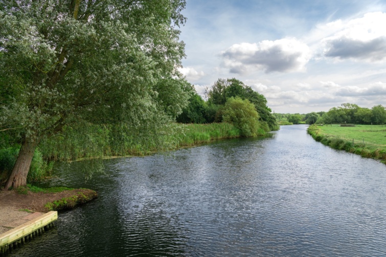 A Waveney fotó Angliában, körülötte zöld növények