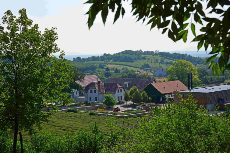 A Pannonhalmi Főapátsági Arborétum és Gyógynövénykert gazdasági épületei.