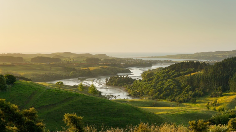 A Waikato vizes élőhely Raglan városánál.