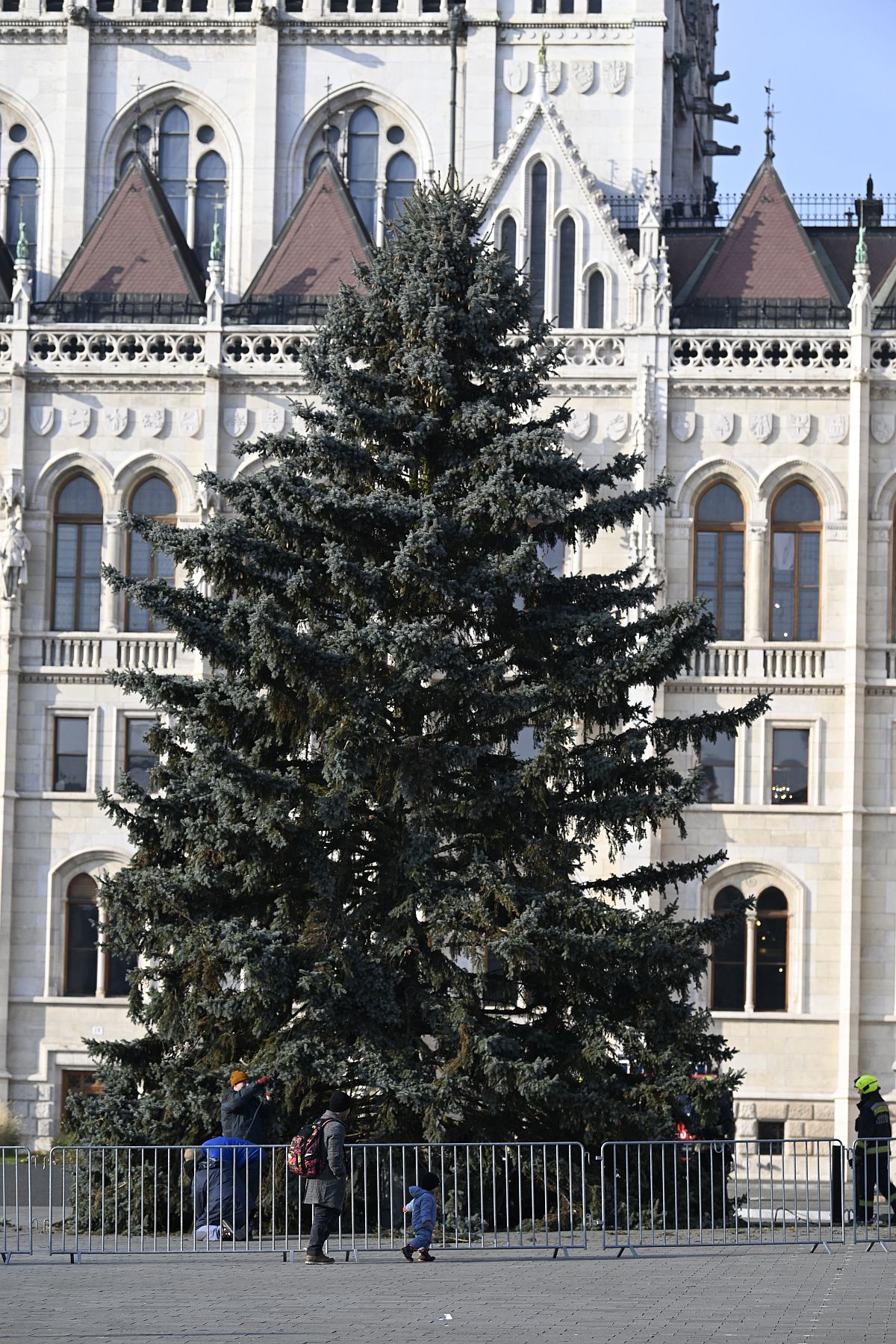 Felállították az ország karácsonyfáját a Parlament előtt.