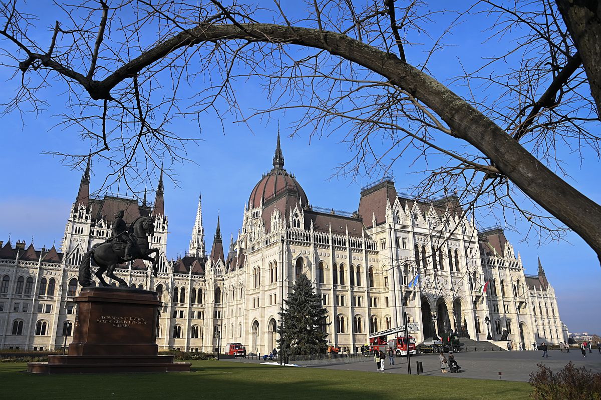 Felállították az ország karácsonyfáját a Parlament előtt.