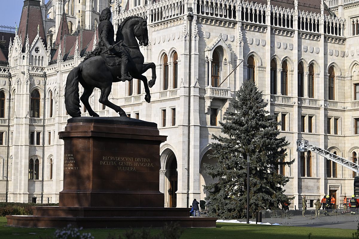 Felállították az ország karácsonyfáját a Parlament előtt.