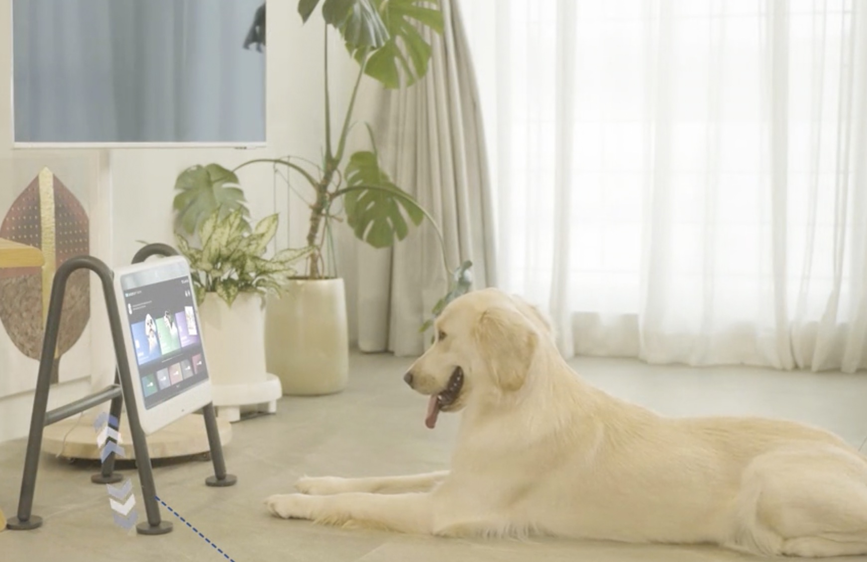 Introducing DOGSPLAY: The Ultimate Entertainment Device for Dogs | Pre-order Now on Kickstarter!