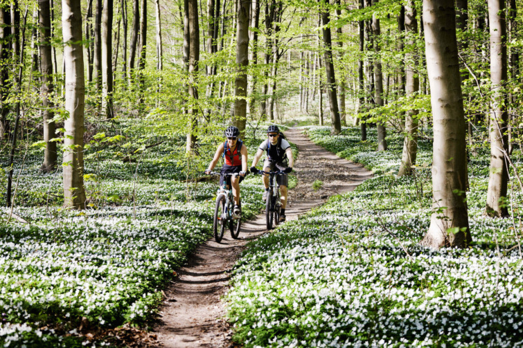 Erdőben bicikliző pár mountain bike kerékpárokon