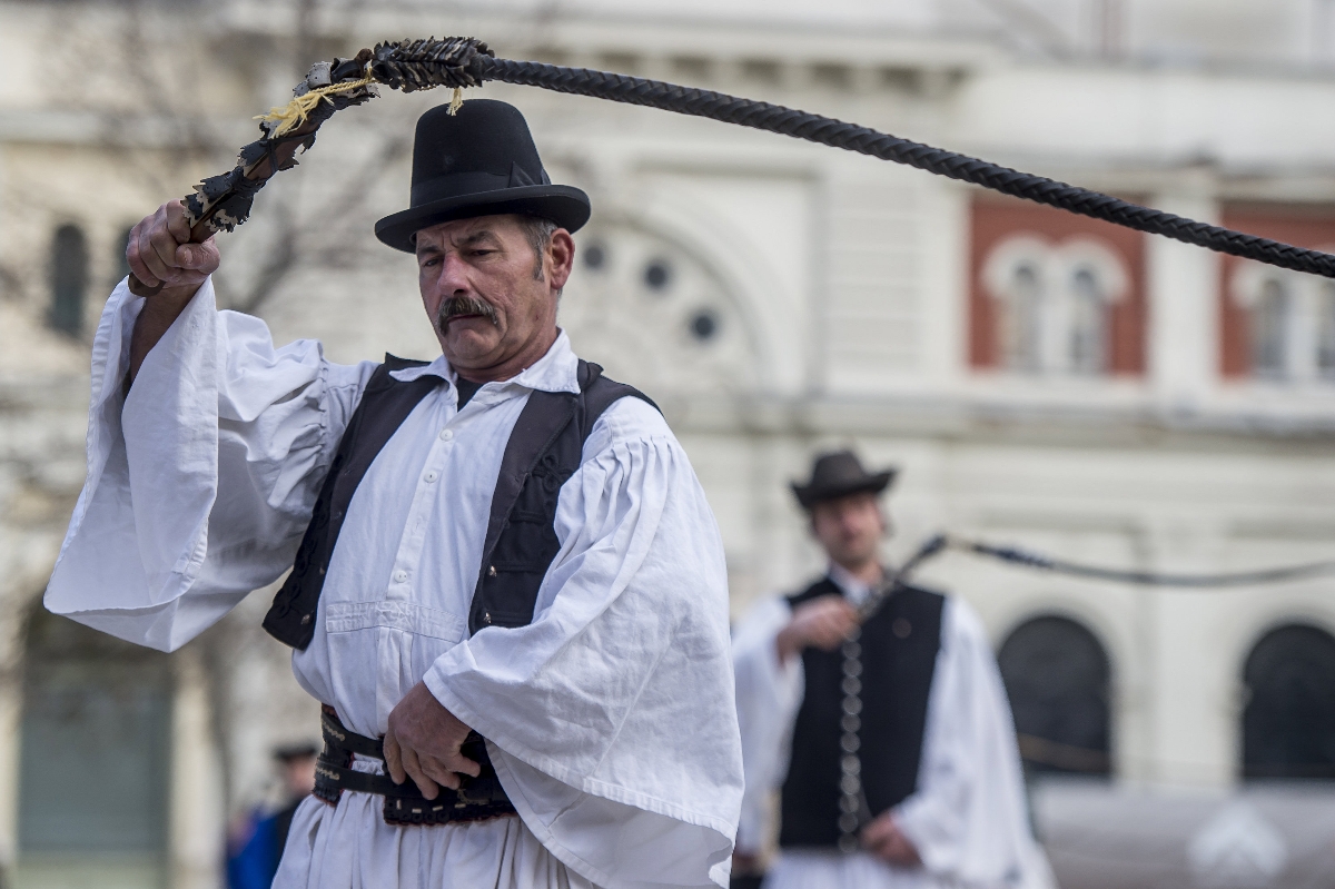 Tóth Imre cserget karikás ostorával 2019. december 31-én Kecskemét főterén, ahol csikósok, juhászok és cifraszűrbe öltözött pásztorok ostorpattogtatással, regösök regös rigmusok éneklésével búcsúztatták a 2019-es esztendőt.